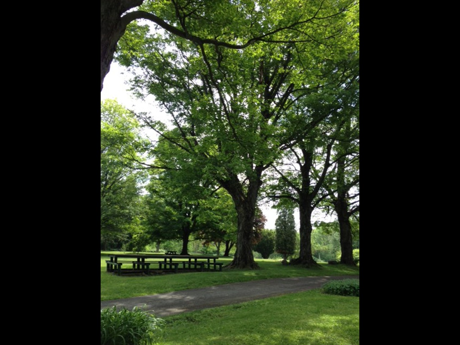 lawn_3