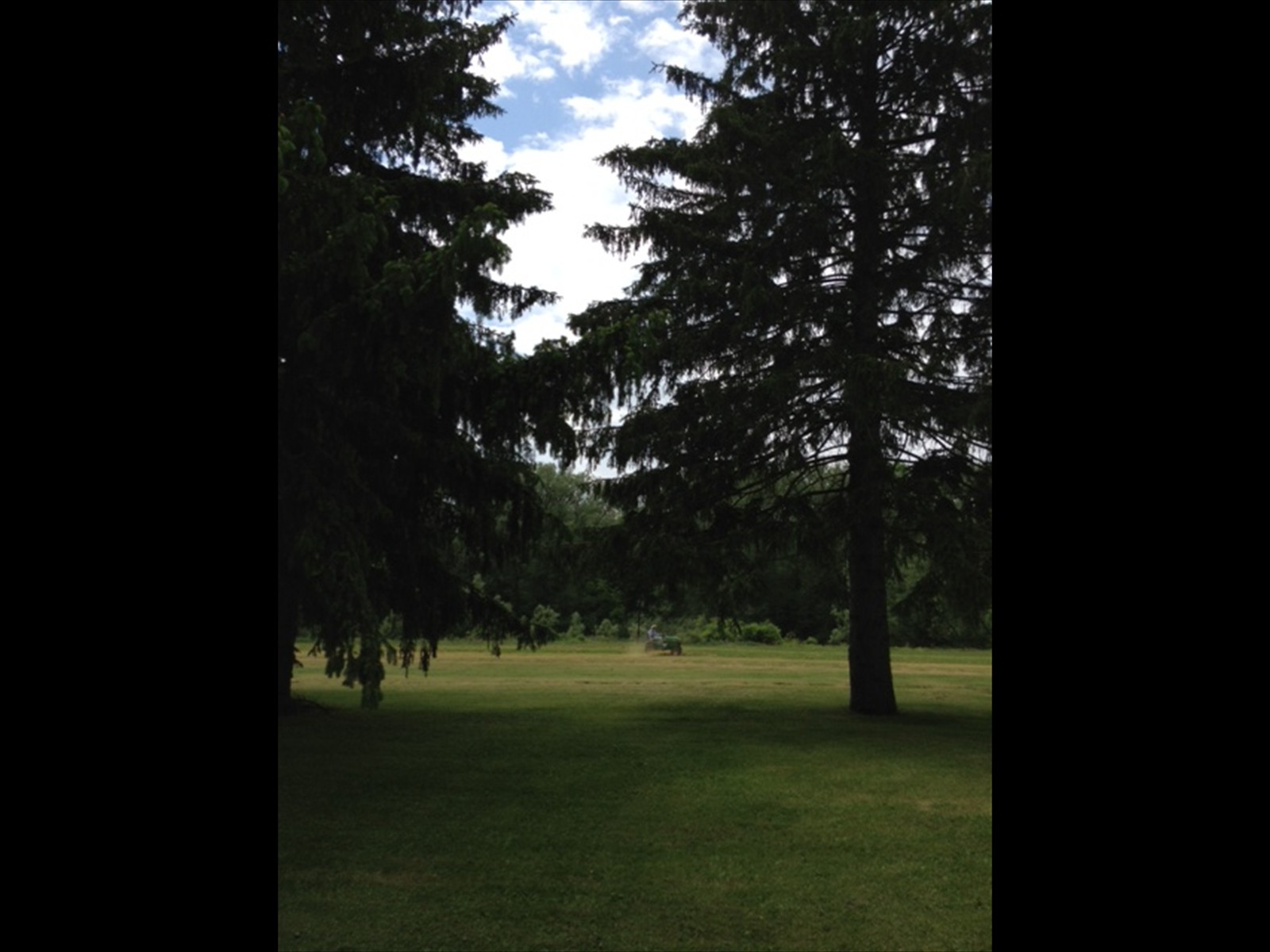 lawn_4