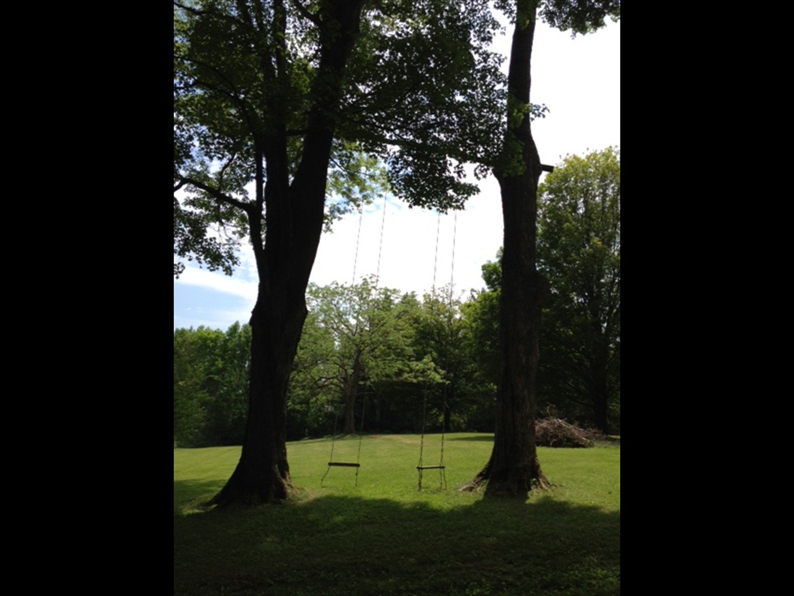 swings_2