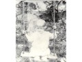 Winifred Millis 